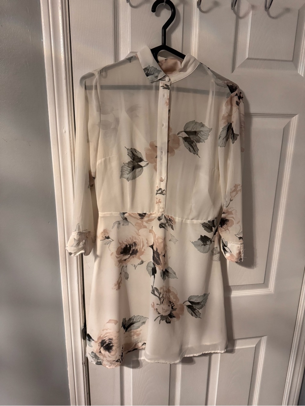 Dynamite Cream Sheer Floral Mini Dress with Blush Accents